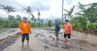 Ketua PKS Jatim Tinjau Lahan Sawah Terdampak Banjir di Bungatan